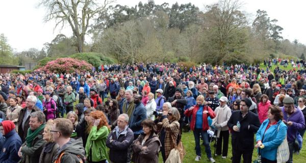 People attending the “Walk in the Woods” protest on Sunday.  Photograph: Eric Luke 