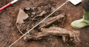The bog body found by Jason Phelan at the Bord Na Mona Cashel Bog, in Co Laois. The body is estimated to be over 4,000 years old, and is possibly the result of a human sacrifice. Photograph: Alan Betson/The Irish Times.