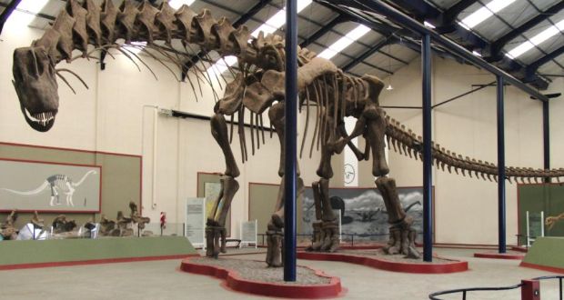 The 40m  skeleton of an Argentinosaurus huinculensis, on display at the Museo Municipal Carmen Funes in Argentina, was digitally reconstructed to examine how the dinosaur walked and ran. Photograph: Dr Bill Sellers, the University of Manchester