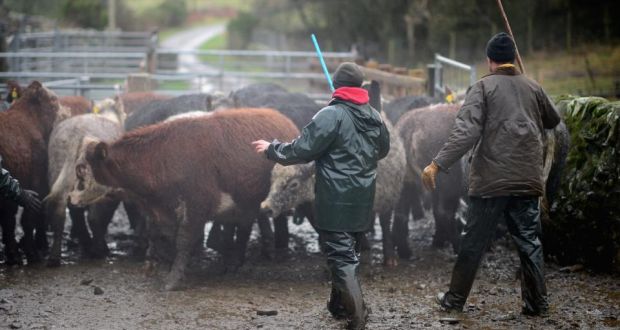 “What [farmers] are worried about is losing markets. Currently, we have a huge home export,” said former MEP George Lyon. Photograph: Jeff J Mitchell/Getty Images