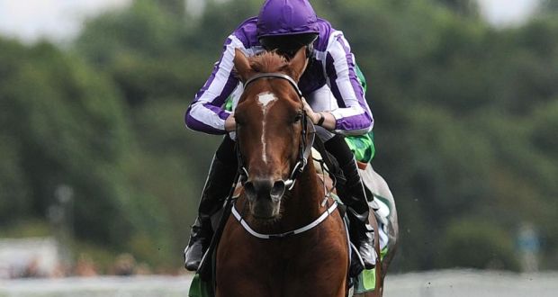  Australia will run at Leopardstown on Saturday week.  Photograph:  Anna Gowthorpe/PA Wire.