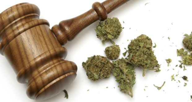 “Medical use of cannabis is legal for licensed users in California and 23 other states. Instead of full legalisation, we have the world’s loosest medical licensing.” Photograph: Thinkstock