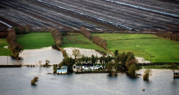 Flooding this week along the banks of the Shannon river near Athlone town. Photograph: Brenda Fitzsimons/The Irish Times 