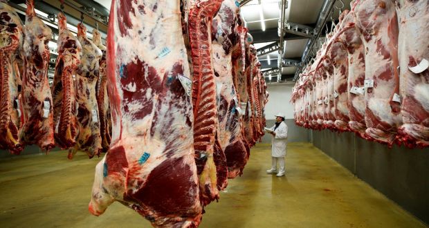 A wholesaler inspects beef carcasses that hang inside a refrigerated room at the Cibevial slaughterhouse in Corbas, France. Photograph: Robert Pratta/Reuters