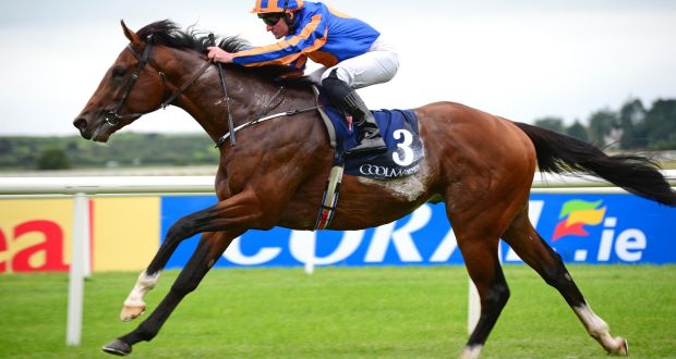 Image result for churchill curragh