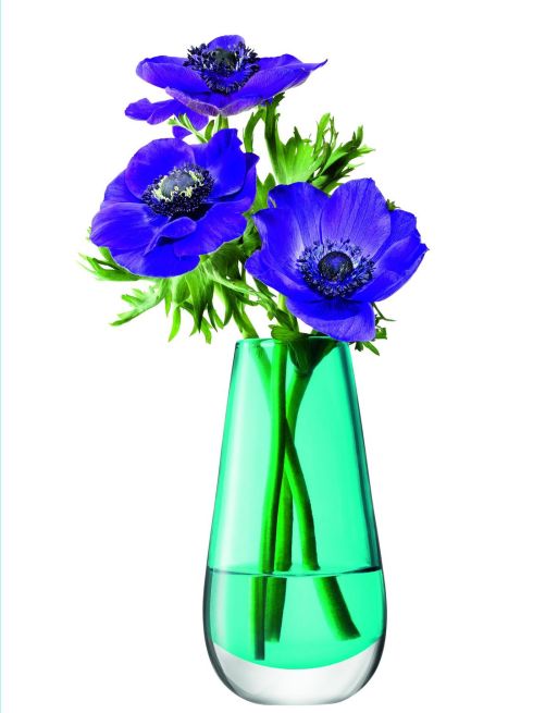 Mouth-blown from a single piece of glass, this bud vase, 14 cm high, is big enough for just one bloom but its peacock blue colour makes a strong statement. It costs €16.50, ex delivery from UK-based online store Annabel James (Annabeljames.co.uk)
