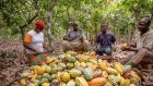 Cocoa-farming communities in Africa face major challenges including widespread rural poverty, increasing climate risks and lack of access to financial services and basic infrastructure like water, healthcare and education.