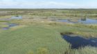 Restored peatlands in Drinagh East, Co Offaly.  Photograph courtesy of Bord na Móna 