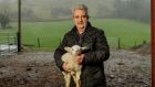 Sheep farmer Kevin Comiskey, national chairman of the IFA’s sheep committee, on his farm near Dromahair, Co Leitrim. Photograph: James Connolly