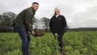 Tillage farmer Walter Furlong jnr of Cooney Furlong Grain, Co Wexford, and Gráinne Wafer, Guinness global brand director, Diageo Ireland, with cover crops grown using regenerative agriculture