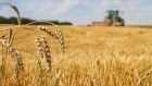 Only 7.5% of the Irish agricultural area is devoted to crop production. File photograph: Getty