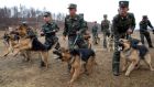 North Korean soldiers with military dogs take part in drills in an unknown location in this unauthenticated picture released by North Korea's official KCNA news agency. Photograph: REUTERS/KCNA RS
