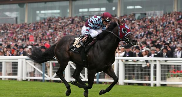 No Nay Never ridden by jockey Joel Rosario wins the Norfolk Stakes during day three of the Royal Ascot meeting. Photograph:  Steve Parsons/PA Wire