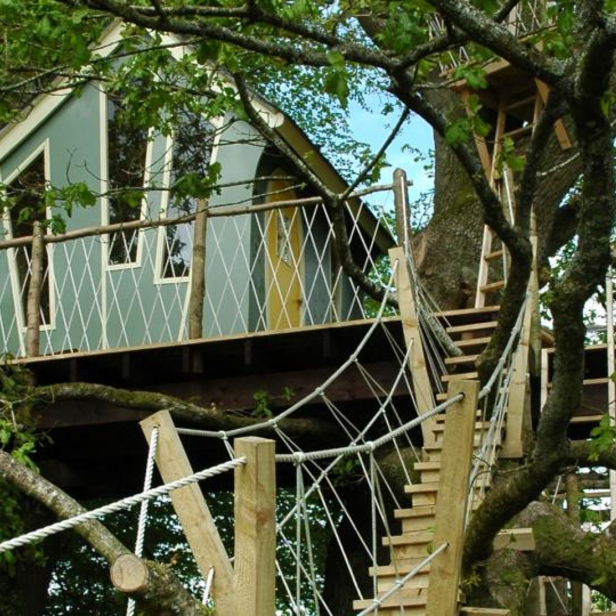 Branch Out Treehouse Living