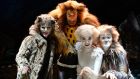 Terrific ensemble piece: Susan McFadden, Oliver Savile, Alicia Beck and Paul Monaghan in  Cats. Photograph: Dara Mac Dónaill 