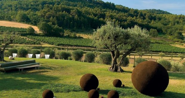 Image result for domaine des andÃ©ols olive trees