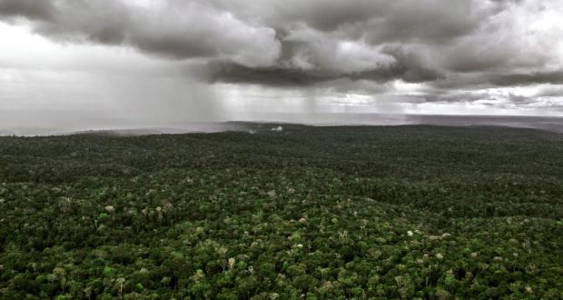 Rain approaching in the Brazilian Amazon rainforest. If greenhouse emissions continue their steady escalation, temperatures across most of the earth will rise to levels with no recorded precedent by the middle of this century, researchers say. Photograph: The New York Times