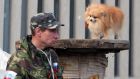  A dog looks at a pro-Russian activist standing in front of the occupied Ukraine’s security service building in Lugansk, Ukraine today. Photograph: Igor Kovalenko/EPA 