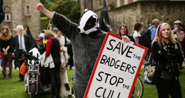 Protesters demonstrating in London. In farmers’ eyes, animal rights activists feel sympathy for the badgers culled in Gloucestershire and Wiltshire in a trial last year, but none for them or  their stock. Photograph: PA 