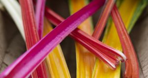 The colourful leaves of Swiss chard make a lively addition to a salad. Photographs: Richard Johnston