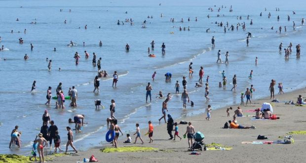 Swimmers have been cautioned about sightings of troublesome species.  Photograph: Alan Betson/The Irish Times 