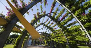 Arbour garden walkway in South Bank: the city has many green areas, parks and paths along the river
