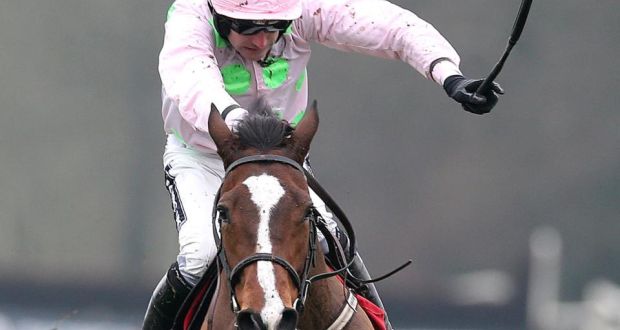 The Mullins pair of Zaidpour (above) and Twinlight scored a lucrative Grade Two double at Navan. Photograph: Inpho 