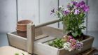 A Colworth Flower trug from Quickcrop in Sligo