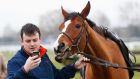 A racegoer checks a selfie he took with Faugheen, the favourite to win the Champion Hurdle at Cheltenham. Photo: Eddie Keogh/Reuters 