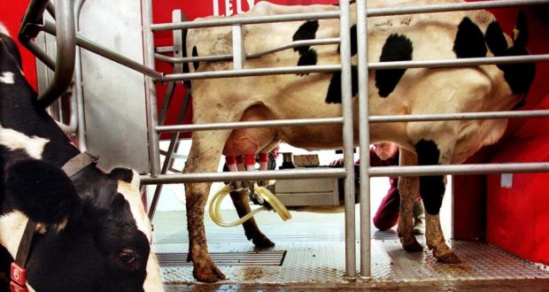 A Lely Astronaut robotic milking machine in operation. âThereâs been a major increase in demand in the last eight to 10 years in Ireland and sales have grown exponentially since,â said Lelyâs sales manager Aidan Fallon.