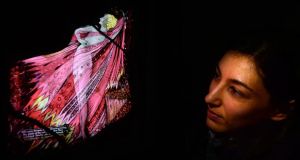Silvia Brigada from Milan  but living in Dublin views  an original stained-glass artwork by Harry Clarke (which outraged the Irish government in 1930),   on display at  the Hugh Lane Gallery, Dublin. Photograph: Dara Mac Dónaill/The Irish Times