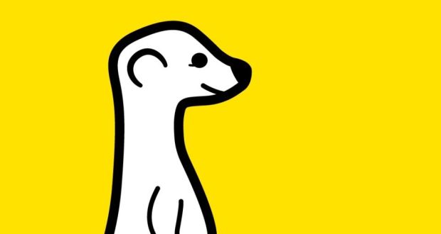 Live streaming mobile video app Meerkat was officially debuted in late March.