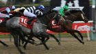 Grey Mirage (right) ridden by Ryan Moore comes home to win The Ladbrokes All-Weather Mile Championships Conditions Stakes at Lingfield. Ladbrokes chief executive Jim Mullen was disappointed with their quarterly results. Photograph: John Walton/PA Wire