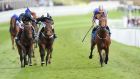 Hans Holbein (right) ridden by Ryan Moore wins The MBNA Chester Vase. Photograph: Martin Rickett