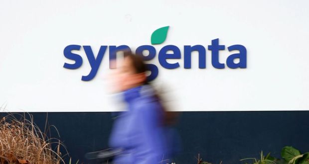 A   woman runs past Swiss agrochemicals maker Syngenta’s logo in front of the headquarters in Basel, Switzerland. Photograph: Arnd Wiegmann/Reuters