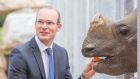 Simon Coveney is also getting it in the neck for over-hyping the potential of the US beef market. Photograph: Darragh Kane