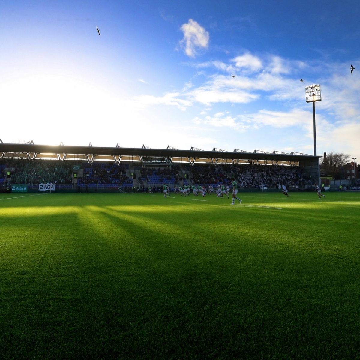 Ireland women to play on pop-up pitch in Donnybrook for 