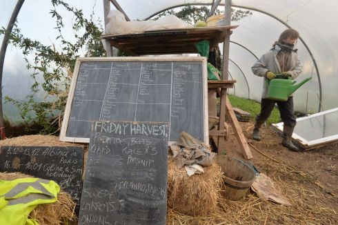 Coline Le Pape working on the farm at Cloughjordan ecovillage. Photograph: Alan Betson/The Irish Times



