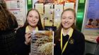 BT Young Scientists 2016 Diana Bura and Maria Louise Fufezan, from Loreto Secondary School Balbriggan, with their project at the 52nd BT Young Scientist & Technology Exhibition at the RDS. Photograph: Alan Betson/The Irish Times