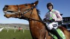 Ruby Walsh aboard Faugheen after winning the Stan James Champion Hurdle at Cheltenham last March. Photograph: Alan Crowhurst/Getty.