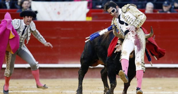 Spanish bullfighter Juan Jose Padilla is hit by his second bull during a bullfight held on the occasion of the Las Fallas festival in Valencia on March 12th. The traditional sport is falling from public favour. Photograph:  Kai  Foersterling/EPA