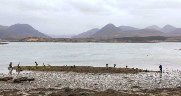 Archaeologist Michael Gibbons at the shipwreck remains in Fahy Bay in Connemara. Photograph: Joe O’Shaughnessy