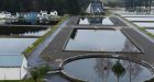 The Vartry Reservoir in County Wicklow where a 153-year-old tunnel at Callow Hill is a “very vulnerable part” of the water supply system for the capital, according to the Environmental Protection Agency.  Cyril Byrne / THE IRISH TIMES 