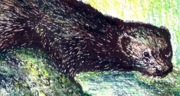 Invasive: mink are now too widespread to eradicate from Ireland. Illustration: Michael Viney