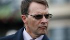  Aidan O’Brien: “He looks like a horse that could go up to a mile and a quarter and have no problem coming back to a mile again.” Photo:  Alan Crowhurst/Getty Images