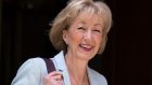 British MP and Conservative Party leadership candidate Andrea Leadsom. Photograph: Hannah McKay/EPA