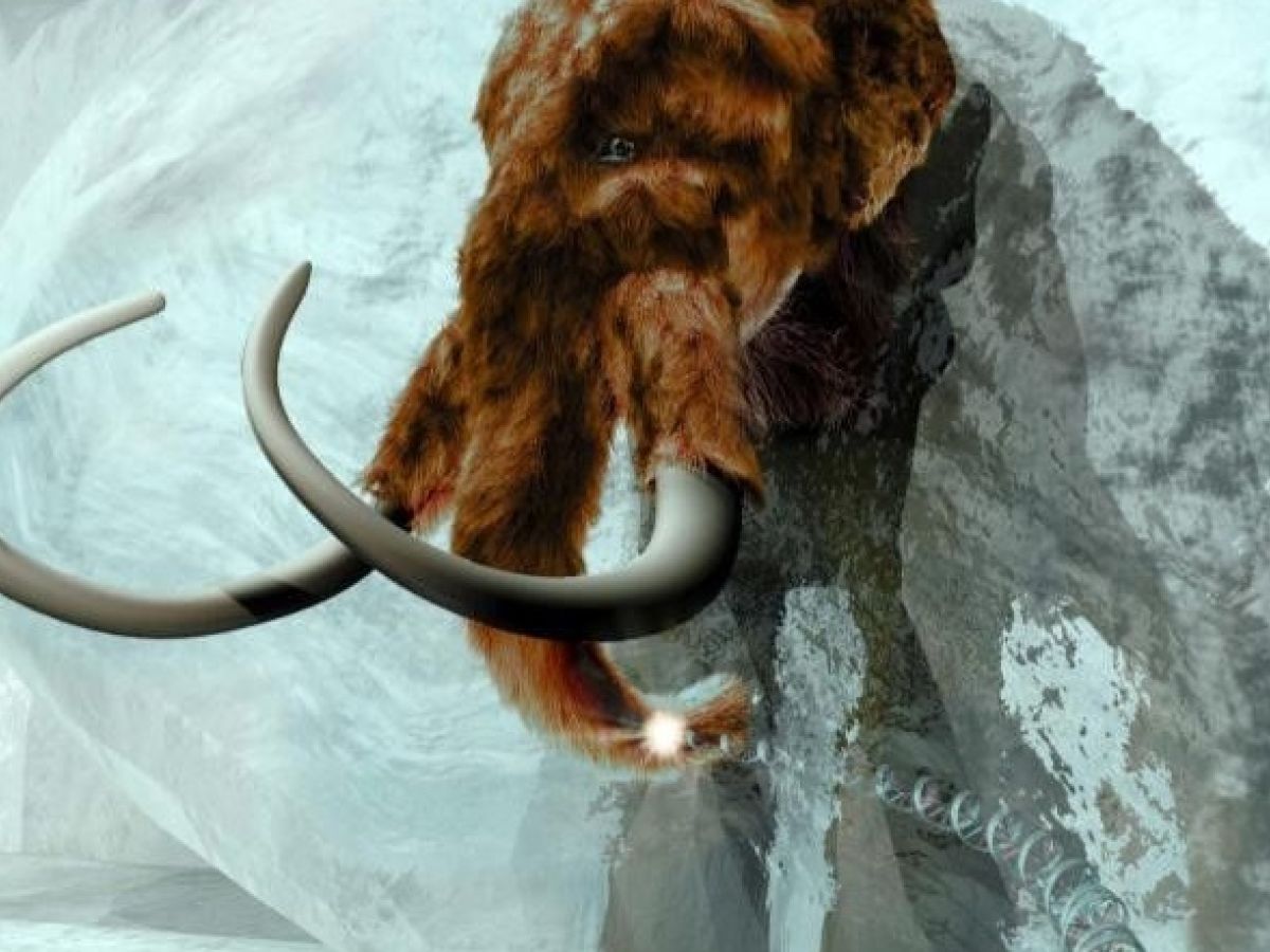 Woolly mammoth found alive