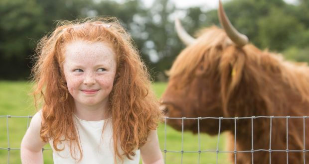 Irish redhead photos