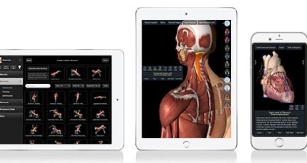 complete anatomy 19 for mac