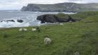 The harshly beautiful but treacherous Donegal coastline